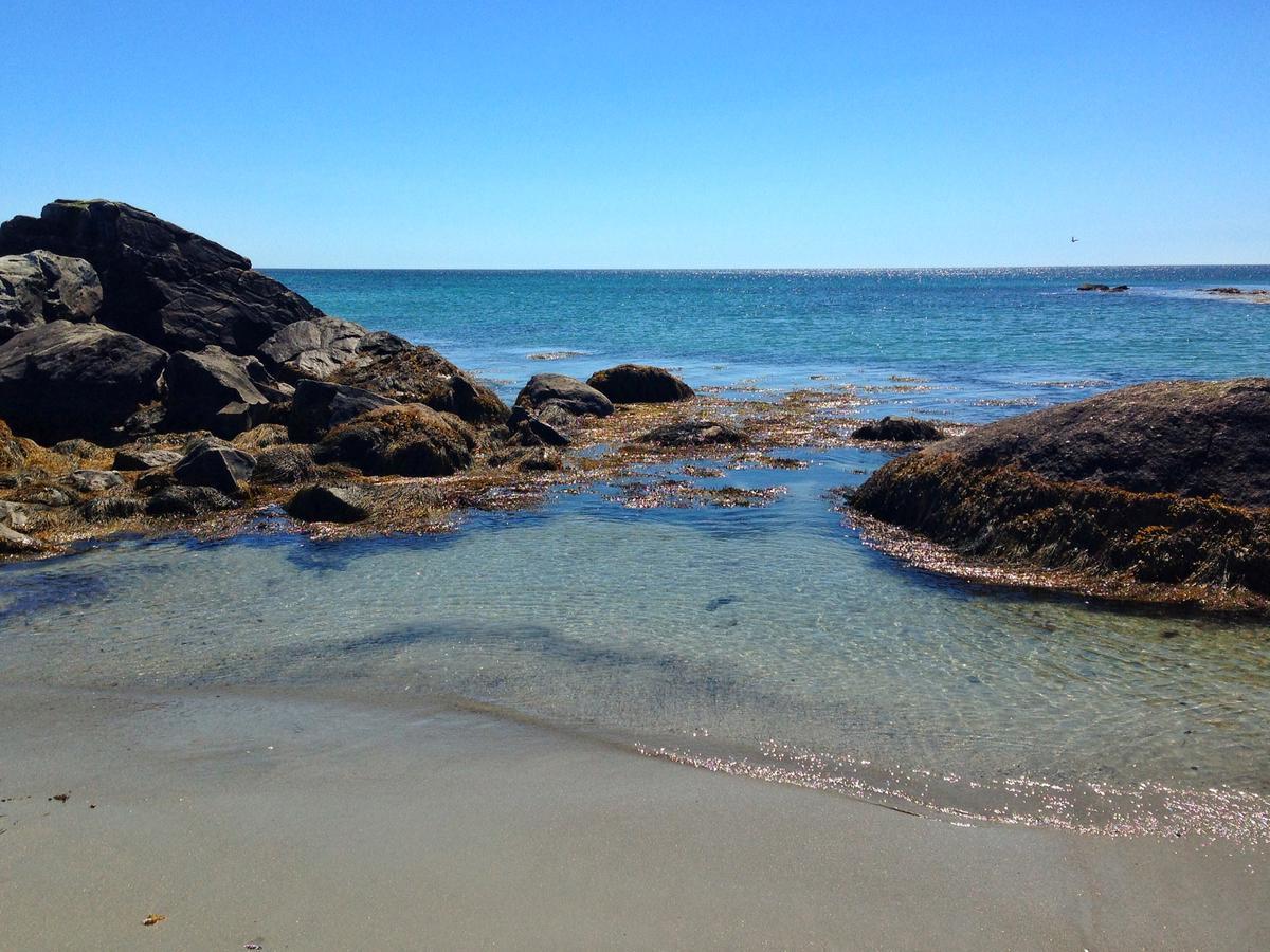The East Wind Guesthouse Clark's Harbour Bagian luar foto