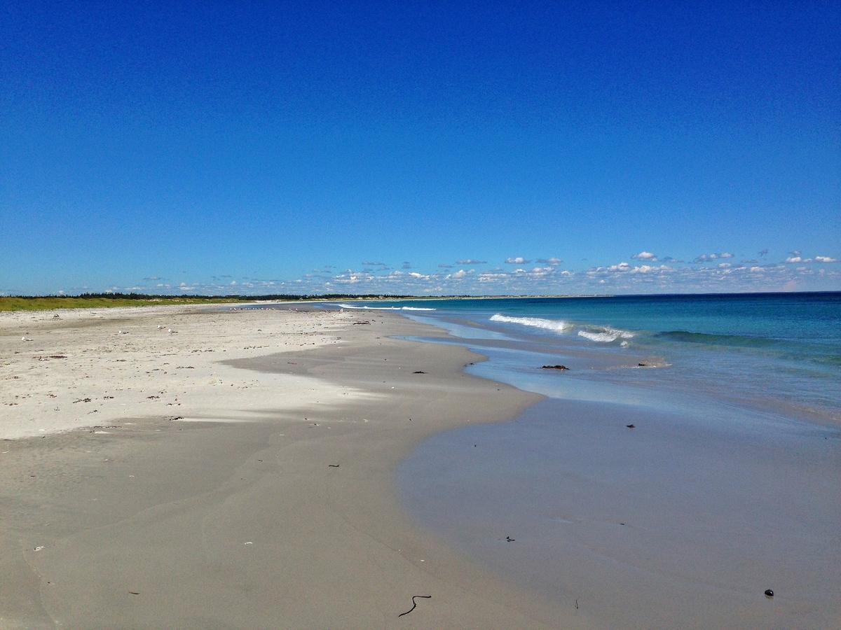 The East Wind Guesthouse Clark's Harbour Bagian luar foto