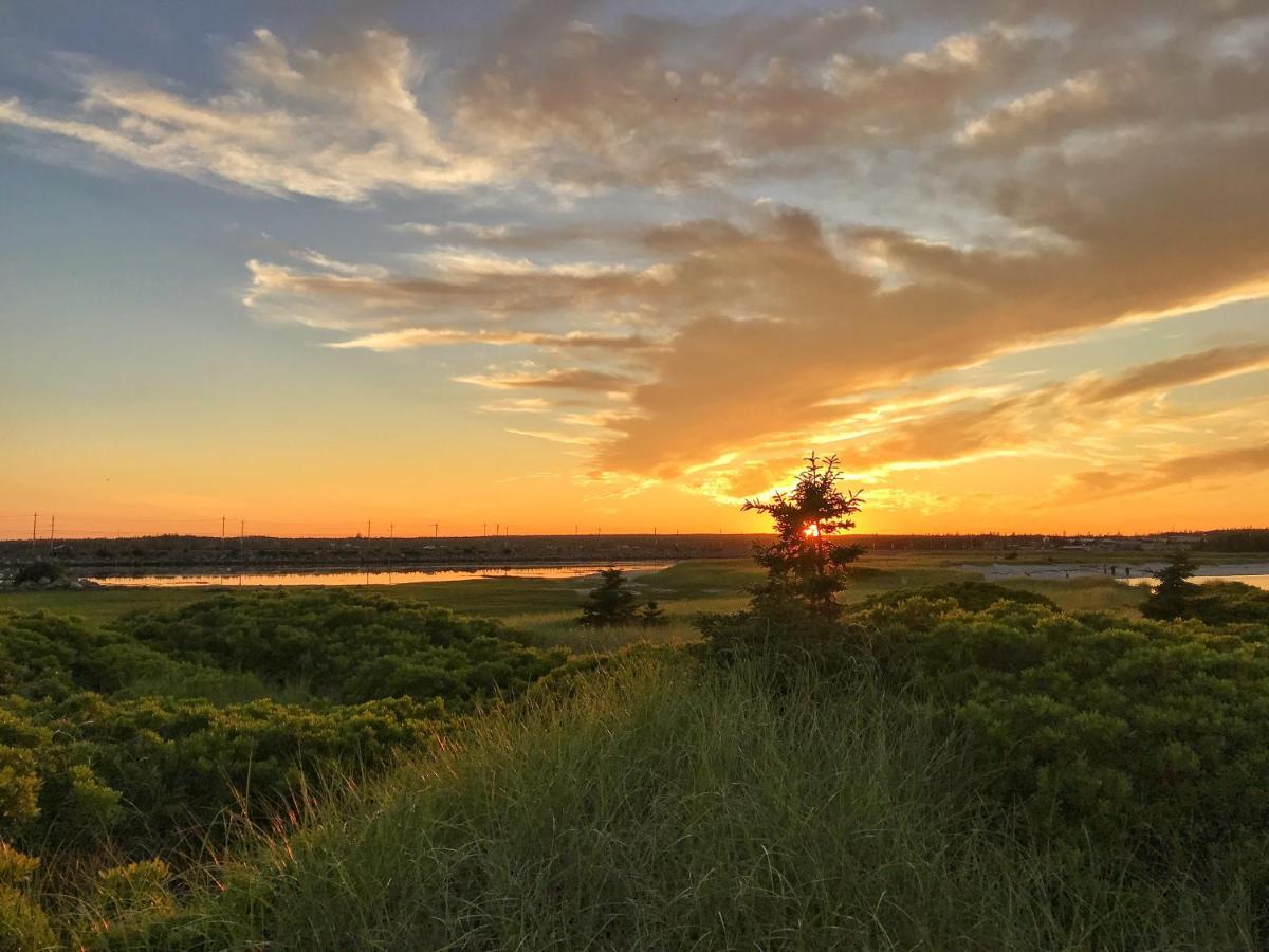 The East Wind Guesthouse Clark's Harbour Bagian luar foto